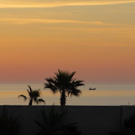Ground Floor Studio With Access To Beach And Pool Le Barcarès Extérieur photo